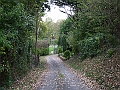 futur trail 062